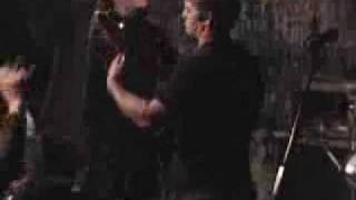 Pig Destroyer - Cheerleader Corpses