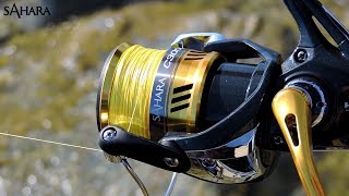 Shimano sahara 4000 fi xg