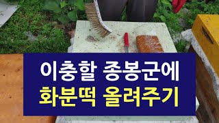이충할 종봉군에 화분떡 올려주기