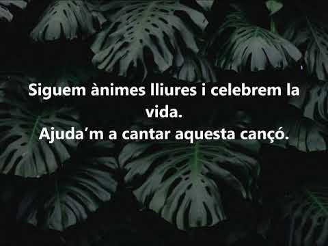 Celebrem - Miki Núñez