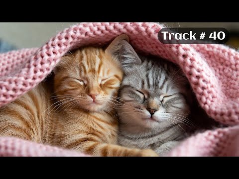 [Sleepy Cats Piano #40] Piano Music for Relaxing Cat Lovers