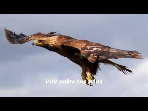 JULI RIVERA - Àguila dorada 2013