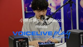 TC HELICON ( ティーシーヘリコン ) VoiceLive Play ボーカル TC HELICON ( ティーシーヘリコン ) VoiceLive Play ボーカル