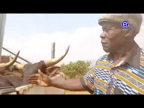 6PM NEWS THURSDAY APRIL 21, 2022 - EQUINOXE TV