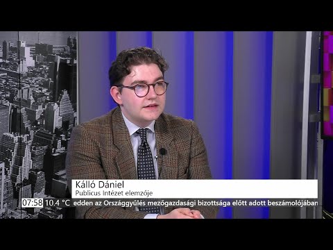 PIRKADAT M. Kende Péterrel: Kálló Dániel
