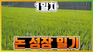 논 성장일기 1회 (7월 1일)