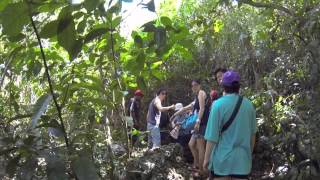preview picture of video '[2013 필리핀 팜투어-Cagayan]  필리핀식 아침식사와 Sierra 동굴 투어'