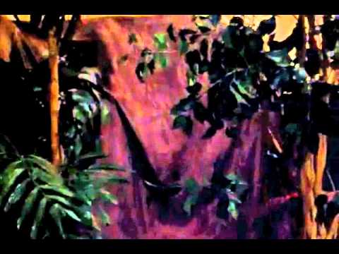 The Pearl Movie Trailer