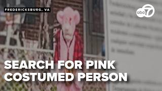Search for person in 'Pink Panther'-looking costume continues after case goes viral