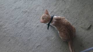 Zak you are so darn cute but you can't lay there