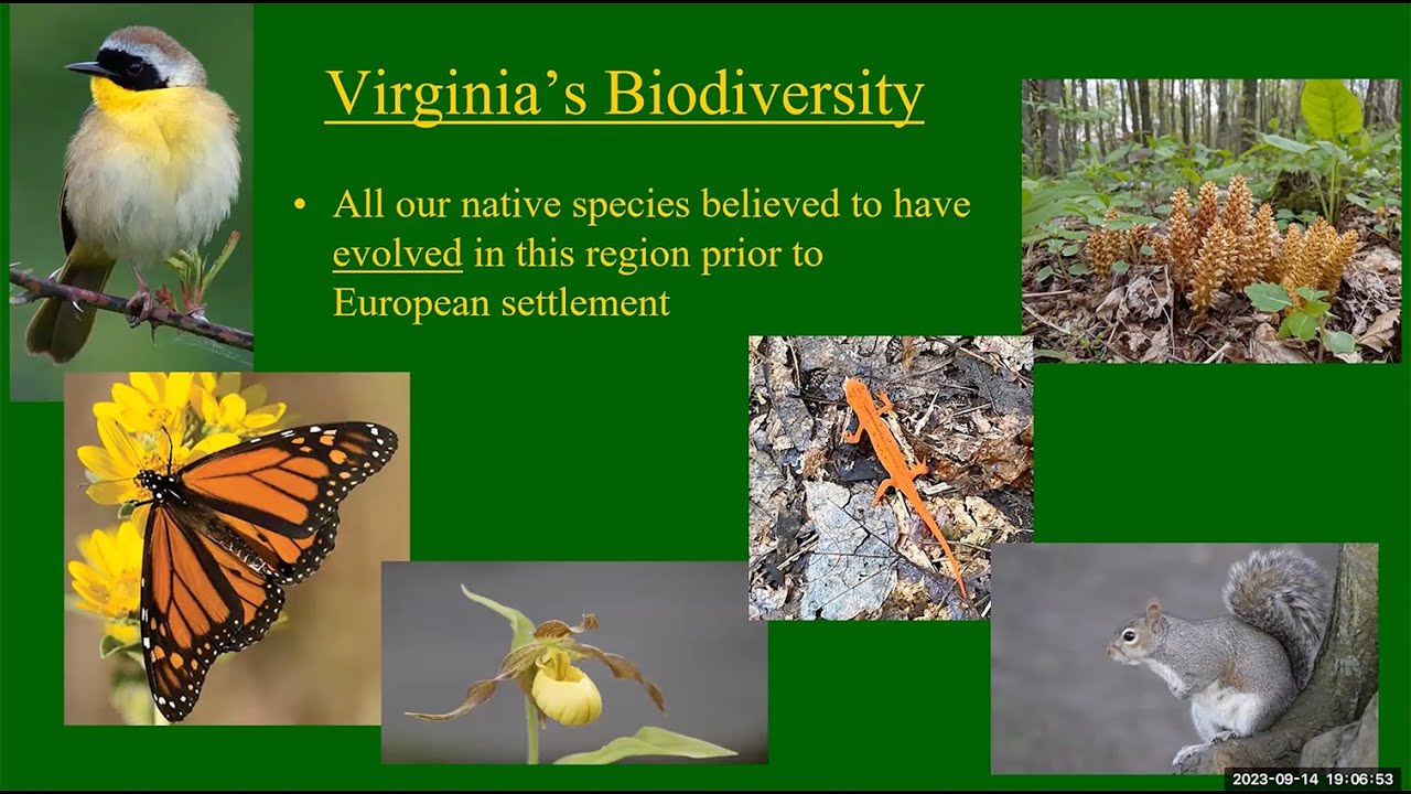 Native Plant Gardening – Which Plants Work Where – Chris Ludwig Sept 14 2023