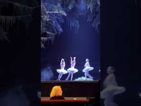 El lago de los cisnes - Teatro Colón