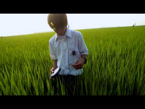 download lagu mp3 mp4 Arabesque Lily, download mp3 Arabesque Lily free downloadn, video klip Arabesque Lily