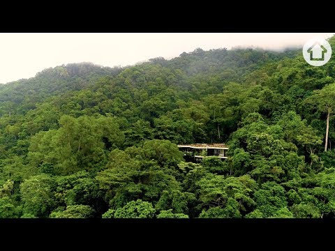 Planchonella House is surrounded by Queensland rainforest | Living On The Edge | realestate.com.au