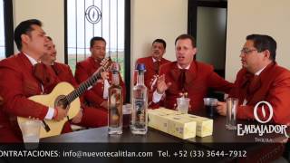 Steeven Sandoval - Mares de Tristeza - Mariachi Nuevo Tecalitlan