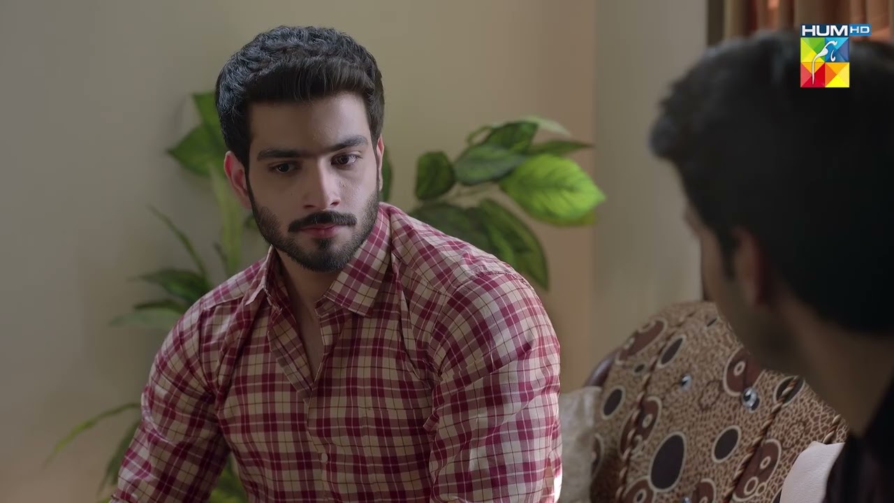 Besharam Bhaiyon Ki Bohat Ghatia Chaal...! Deewar - HUM TV