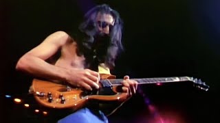Frank Zappa - Muffin Man Halloween '77 ➤ Remastered [HQ Audio]