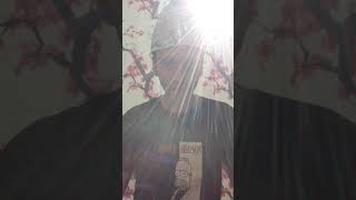 The Light Pours Out of Me Peter Murphy chorus