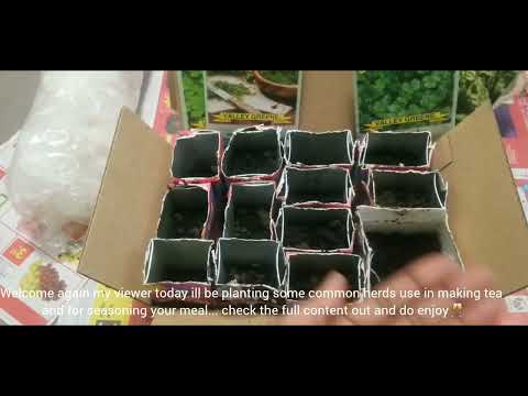 🇨🇦How I grow my own organic veggies & herbs in Canada  day 10 + planting my favorite kitchen herds