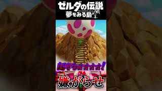 できるのは嫌がらせ  #ゼルダの伝説 夢をみる島 #夢を見る島  #ゼルダの伝説 #ゲーム実況 #実況 #Shorts