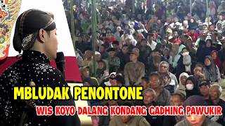 Download lagu MBLUDAK PENONTONE WIS KOYO DALANG KONDANG GADHING PAWUKIR mp3 Download lagu MBLUDAK PENONTONE WIS KOYO DALANG KONDANG GADHING PAWUKIR mp3