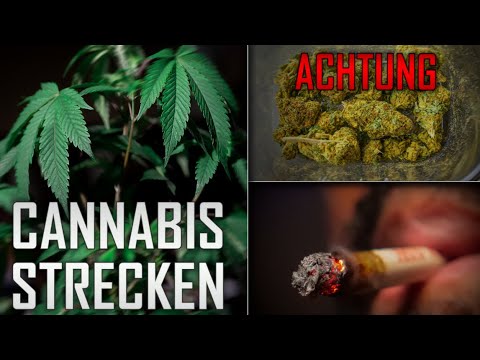 gestrecktes Cannabis erkennen | Worauf du achten solltest