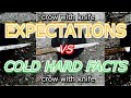 EXPECTATIONS VS HARD FACTS - CROW WITH KNIFE $ CAW - LISTED ON CRYPTO.COM! 1000x MEME COIN #cro