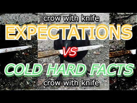 EXPECTATIONS VS HARD FACTS - CROW WITH KNIFE $ CAW - LISTED ON CRYPTO.COM! 1000x MEME COIN 
