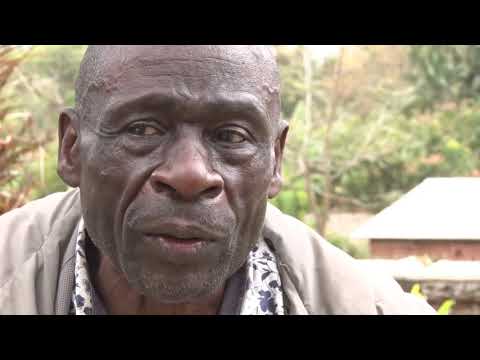 Times Investigation, death of Nathan - 12 September 2021