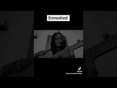 #folk #country #nashville #life #celestial #wook #work #guitar