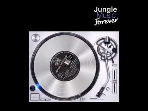 Origin Unknown - Valley Of The Shadows (Long Dark Tunnel) (31 Seconds)