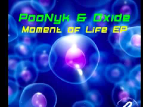 PooNyk & Oxide 'Moment of Life'