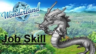 WONDERLAND ONLINE : Job Skill quest (JS)