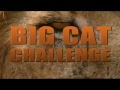 Big Cat Challenge Teaser Trailer