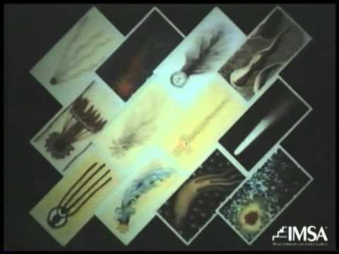 Dr. Carl Sagan Speaks at IMSA