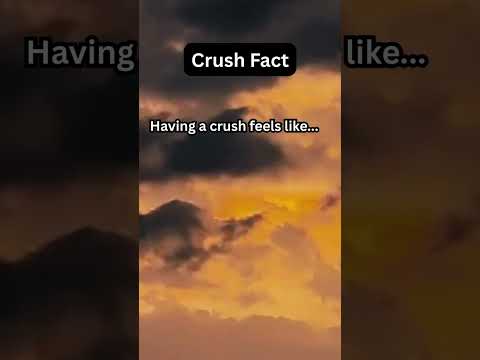 The Truth About Humans Nobody Told You 👀