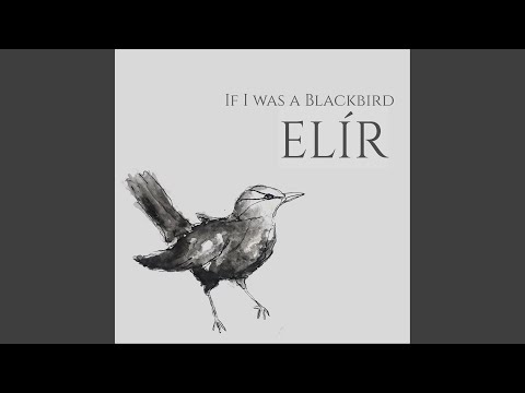 If I Was a Blackbird