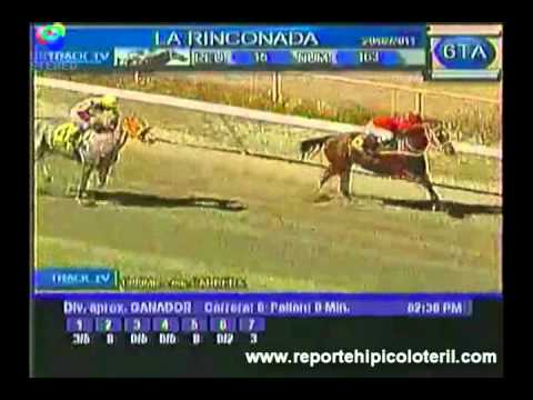 Resumen La Rinconada Domingo 20/02/2011