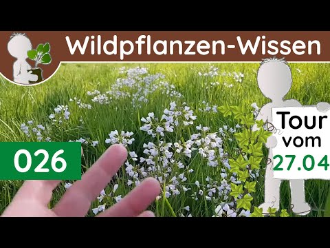026 - Schaum, Korn und Teilungsfreudiges - Wildpflanzen & Bäume (Botanik-Doku - April)