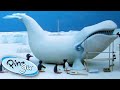 Pingu And The Giant Ice Whale Pingu Official 1 Hour Cartoons For Kids
