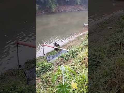 rio de barra longa mg está bom para pescar #fishing