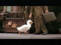 Aflac Superhero TV Commercial