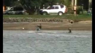 preview picture of video 'Kitesurfers At Shoal Bay'