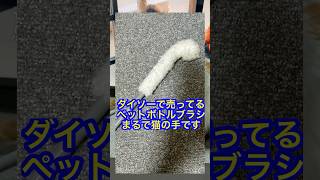 ダイソーで売ってるペットボトルブラシがまるで猫の手です #shorts  #ダイソー #100均 #cat #猫 #ねこ #ペットボトルブラシ #猫の手