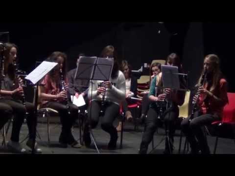 Audition de la classe de clarinettes 2015