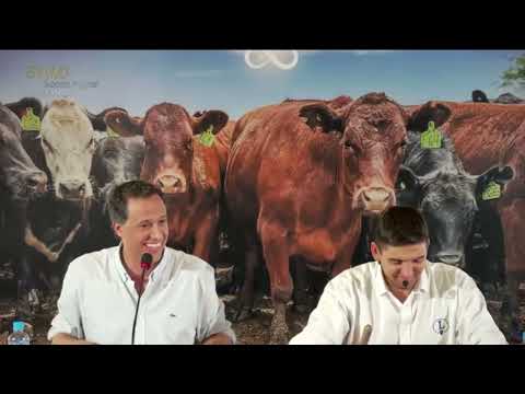 13-11-25 - 126º Subasta Integral Premium de Carlos J. Lanser S.A. - Coronel Moldes, Córdoba