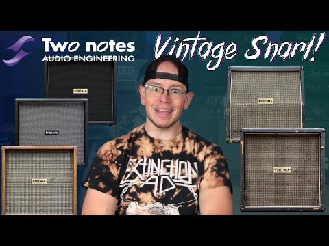 Vintage Speakers For Modern Tones? | Two Notes FRIEDMAN Collection Impulse Responses!