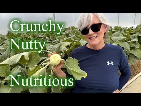 The BEST Kohlrabi Recipe - From Harvest to Table!