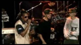 Linkin Park &amp; Jay Z - Big Pimpin / Papercut