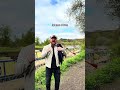 Let me down - New single from Cammy Barnes